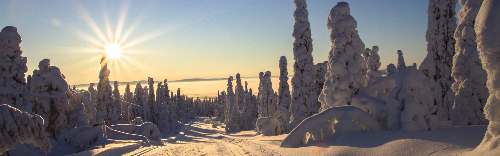 Image de fond qui montre un paysage du pays Finlande