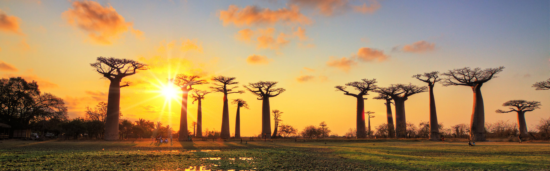 Image de fond qui montre un paysage du pays Madagascar