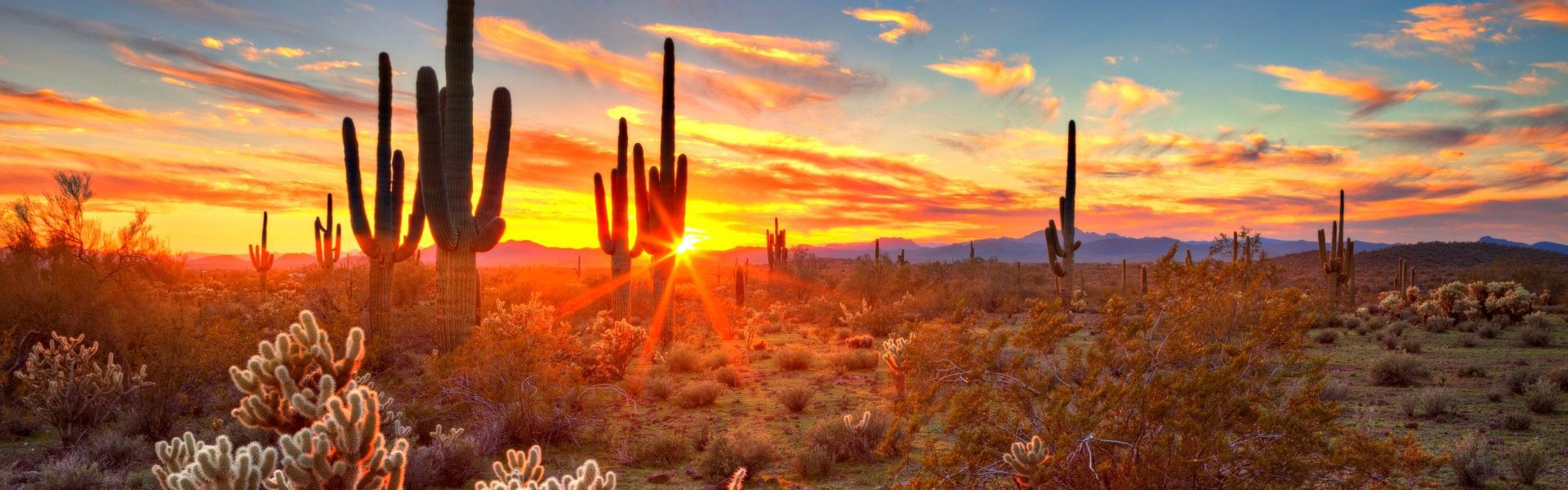 Image de fond qui montre un paysage du pays Mexique