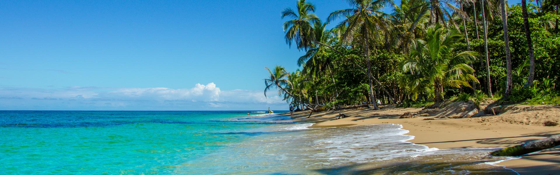 Image de fond qui montre un paysage du pays Costa Rica
