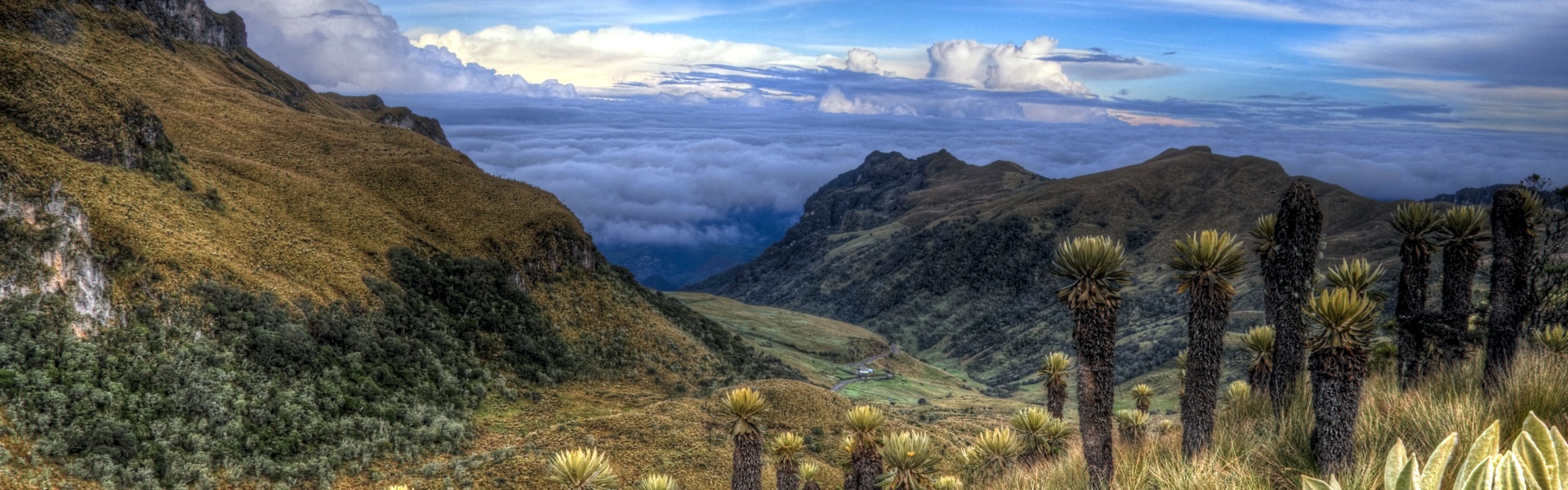 Image de fond qui montre un paysage du pays Colombie