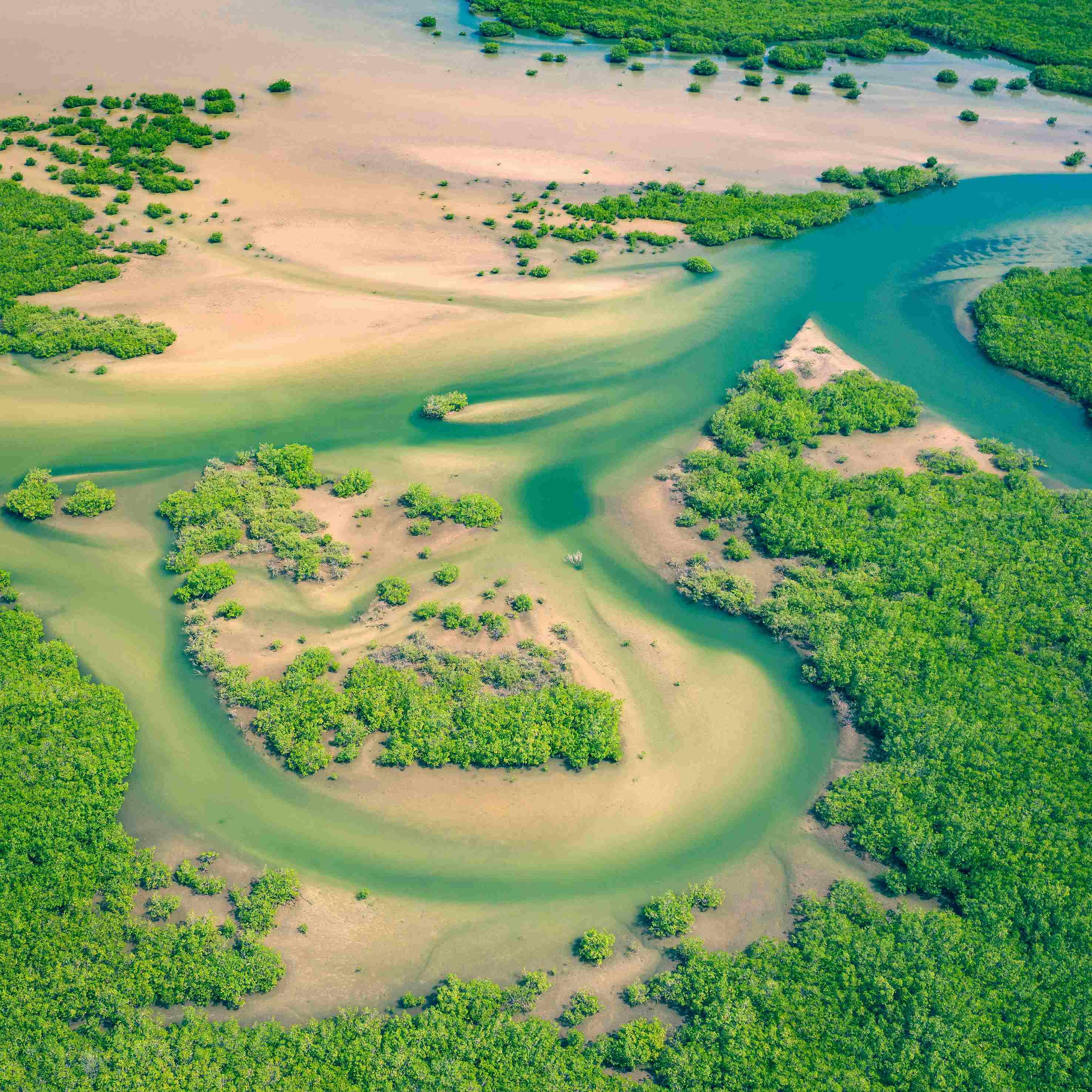 Image de fond qui montre un paysage du pays Sénégal