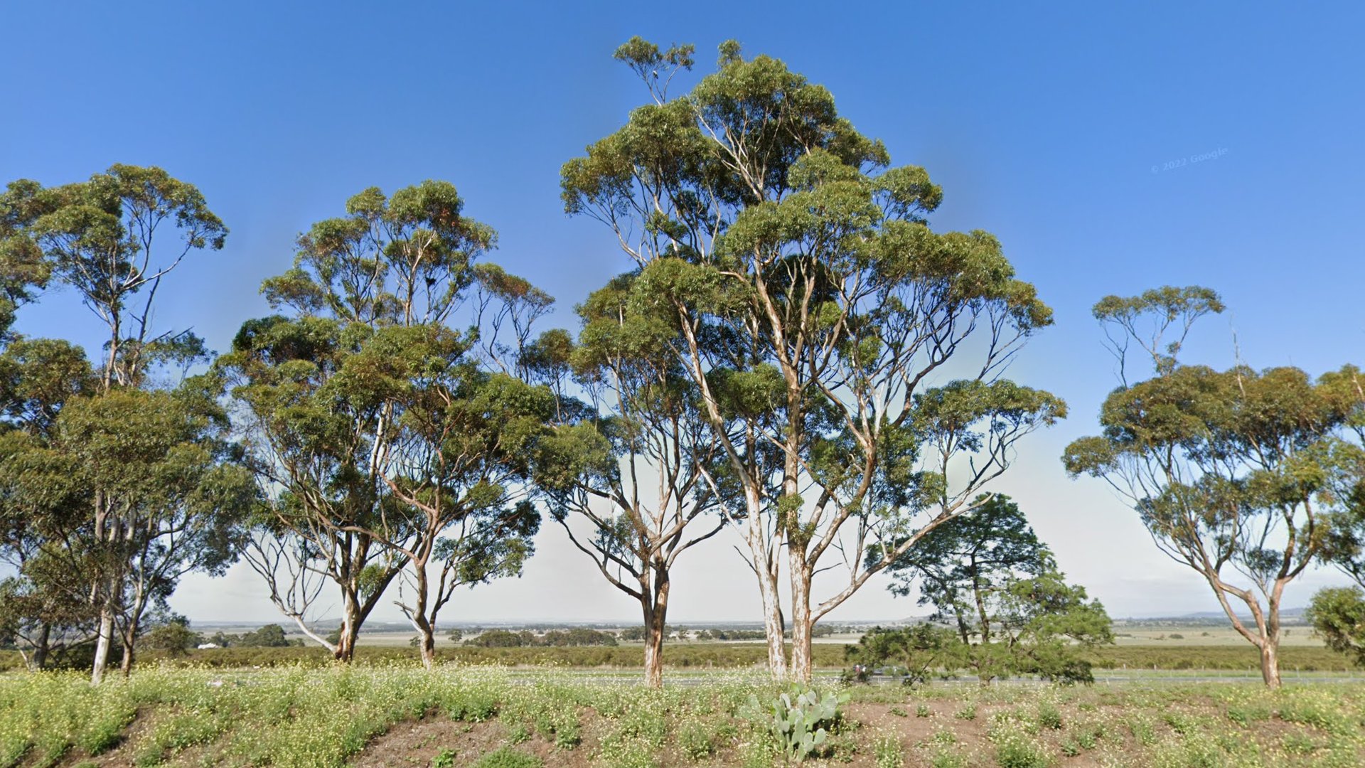 Image descriptif d'un élément du tutoriel Australie