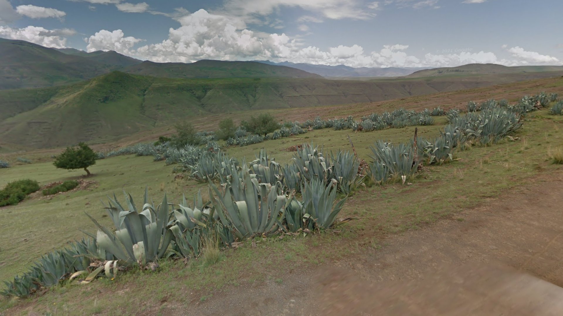 Image descriptif d'un élément du tutoriel Lesotho